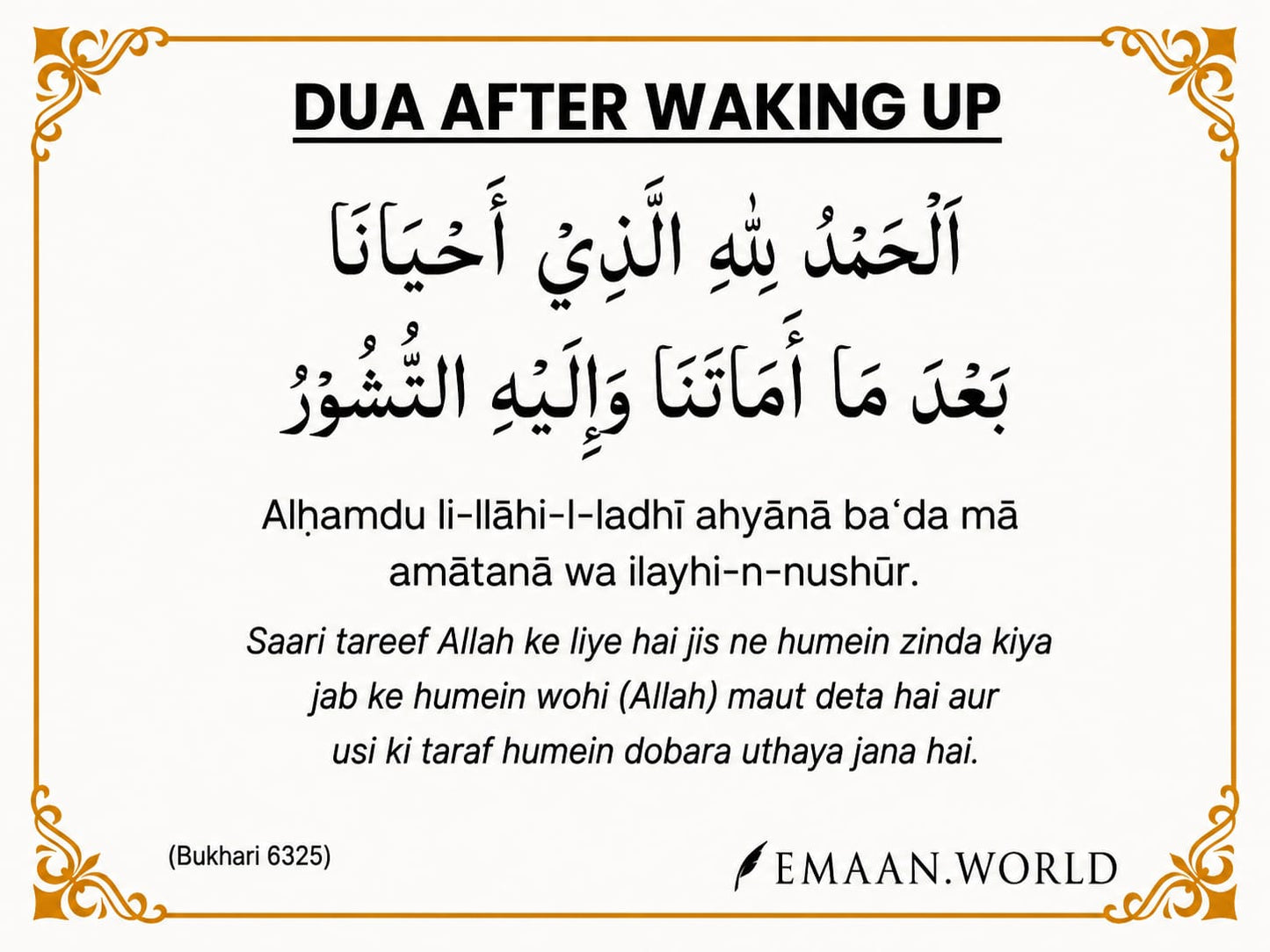 Premium Dua Cards & Stickers