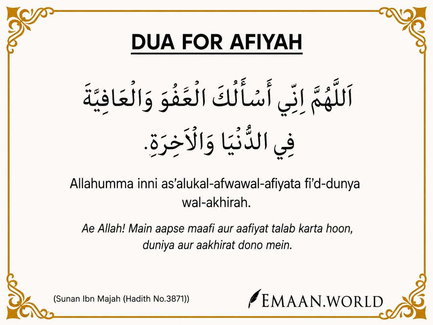 Premium Dua Cards & Stickers