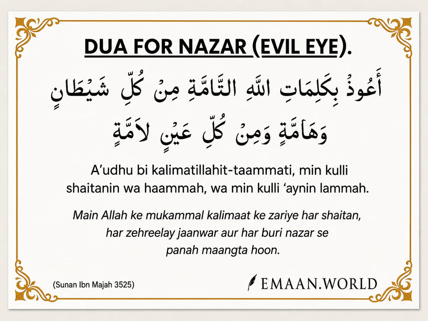 Premium Dua Cards & Stickers